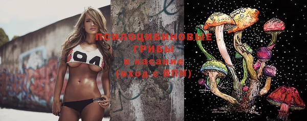 марки lsd Белокуриха