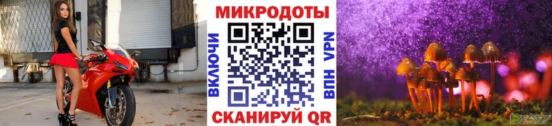 Псилоцибиновые грибы Cubensis  KRAKEN вход  darknet Telegram  Заринск 